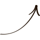 icon2
